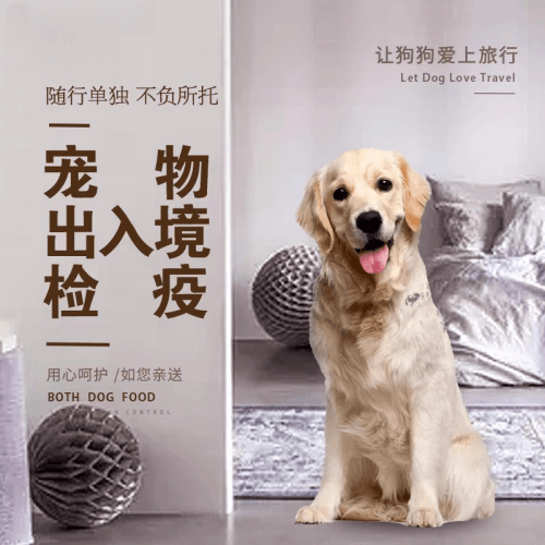 巴南区宠物托运到哥伦比亚猫狗宠物入境规定和