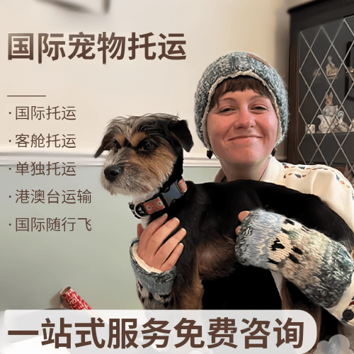 巴南区国际宠物托运到阿根廷宠物入境规定和要