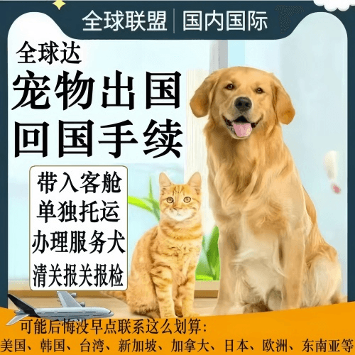 巴南区宠物托运到柬埔寨宠物入境规定和要求