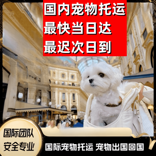 巴南区到澳大利亚（澳洲）宠物入境规定和要求
