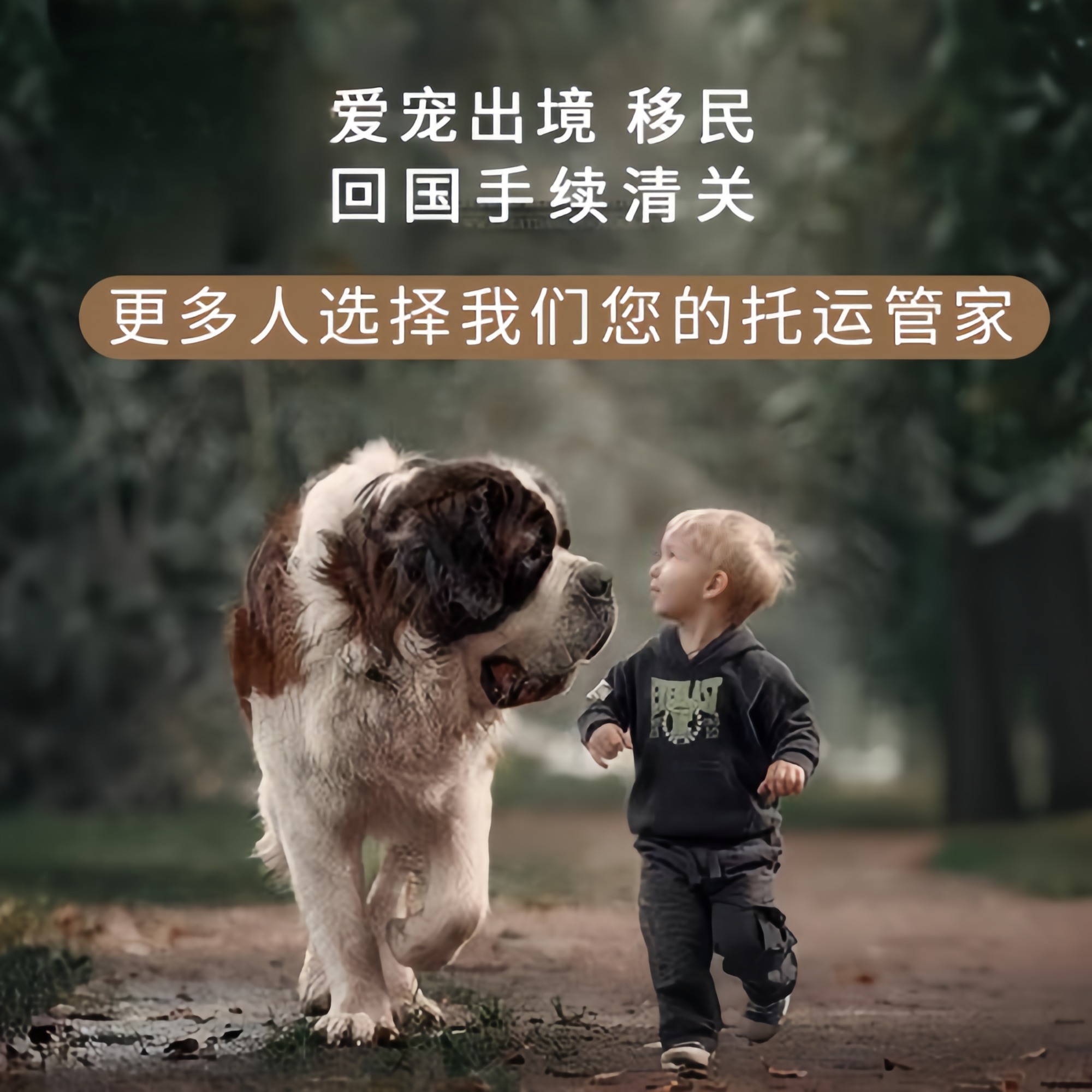 满财巴南区宠物全球达宠物托运在遵守入境目的地政策的条件