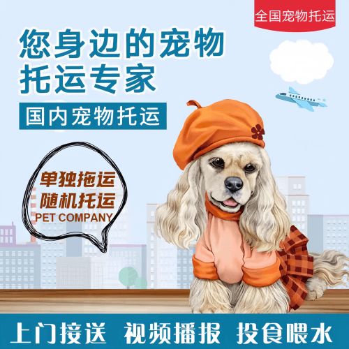 满财巴南区宠物全球达宠物托运作为专业的宠物运输代理机构